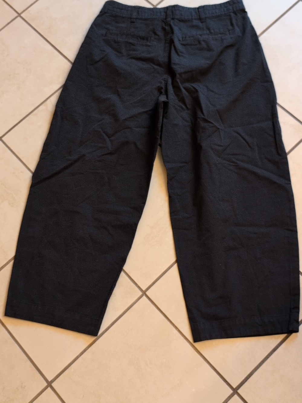 NWT Everlane The Everywhere Pant Pleated Barrel Leg Black Organic Cotton Size 12 - Picture 3 of 15